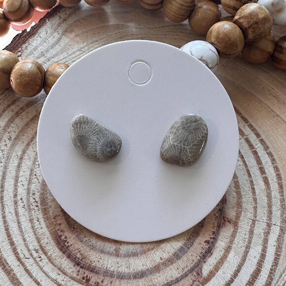 Michigan Petoskey Stone Stud Earrings - Picture 1 of 4